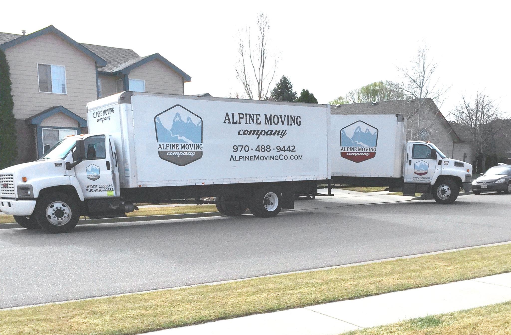 Unraveling the Office Shuffle: Navigating Office Moving Services in Loveland, CO!